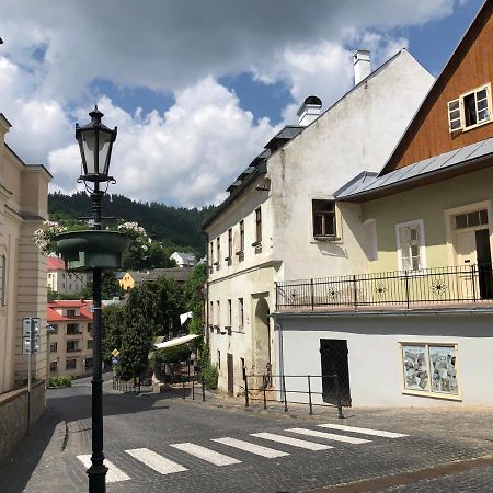 Apartman Vila Rosenberg Banska Stiavnica Bagian luar foto