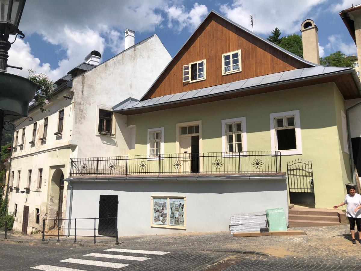 Apartman Vila Rosenberg Banska Stiavnica Bagian luar foto