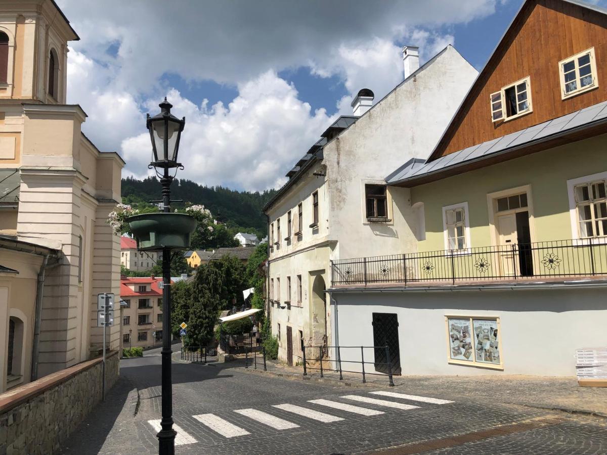 Apartman Vila Rosenberg Banska Stiavnica Bagian luar foto